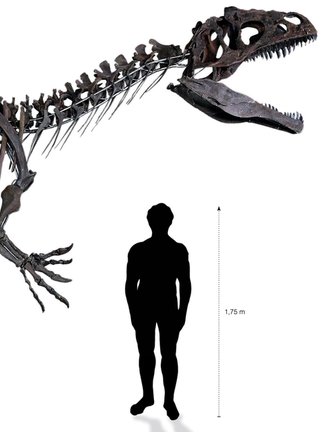 Illustration for article titled Scientists Cry Foul as Skeleton of Mystery Dino Is Auctioned Off for $2 Million